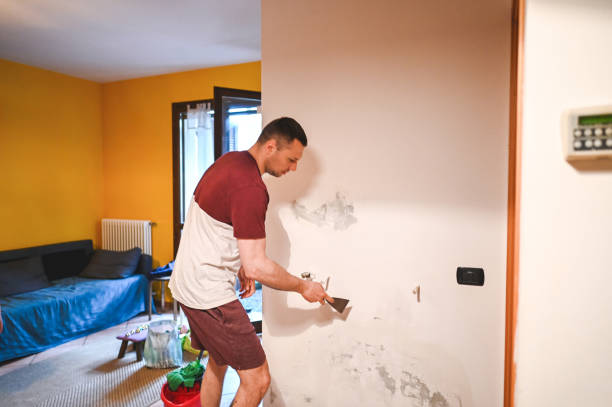 Best Certified Mold Removal  in Ridgewood, IL